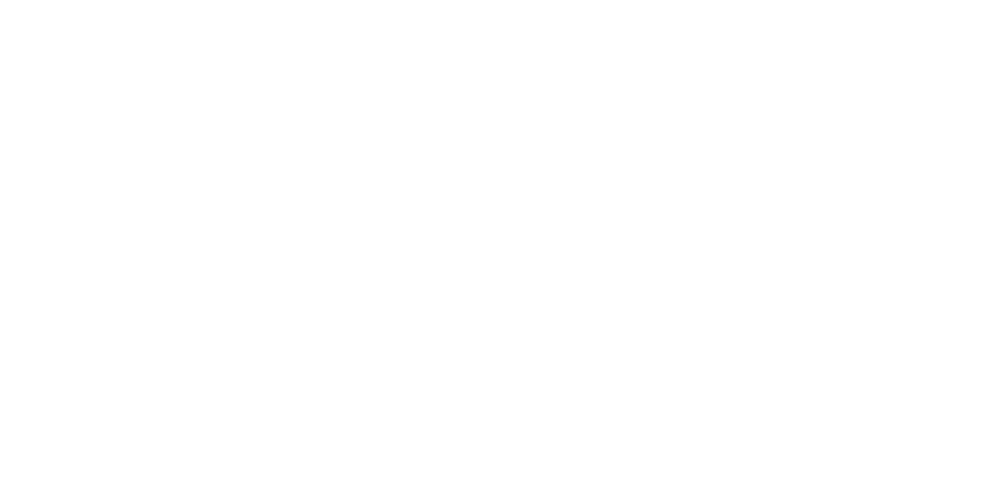 TRUCK PLUS