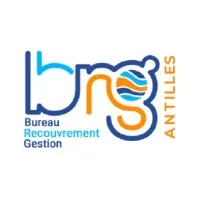 B.R.G. ANTILLES- BUREAU DE RECOUVREMENT ET DE GESTION DES ANTILLES