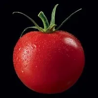 SARL TOMWEST