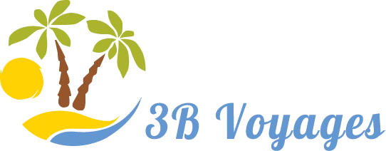 3B VOYAGES