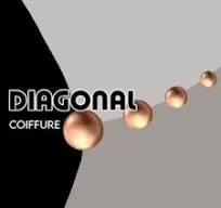 JORIE FABRI (Diagonal Gestion)