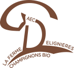 STEPHANE DELIGNIERES