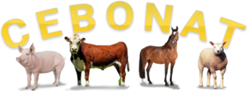 IAP INTERNATION ANIMAL PRODUCTS