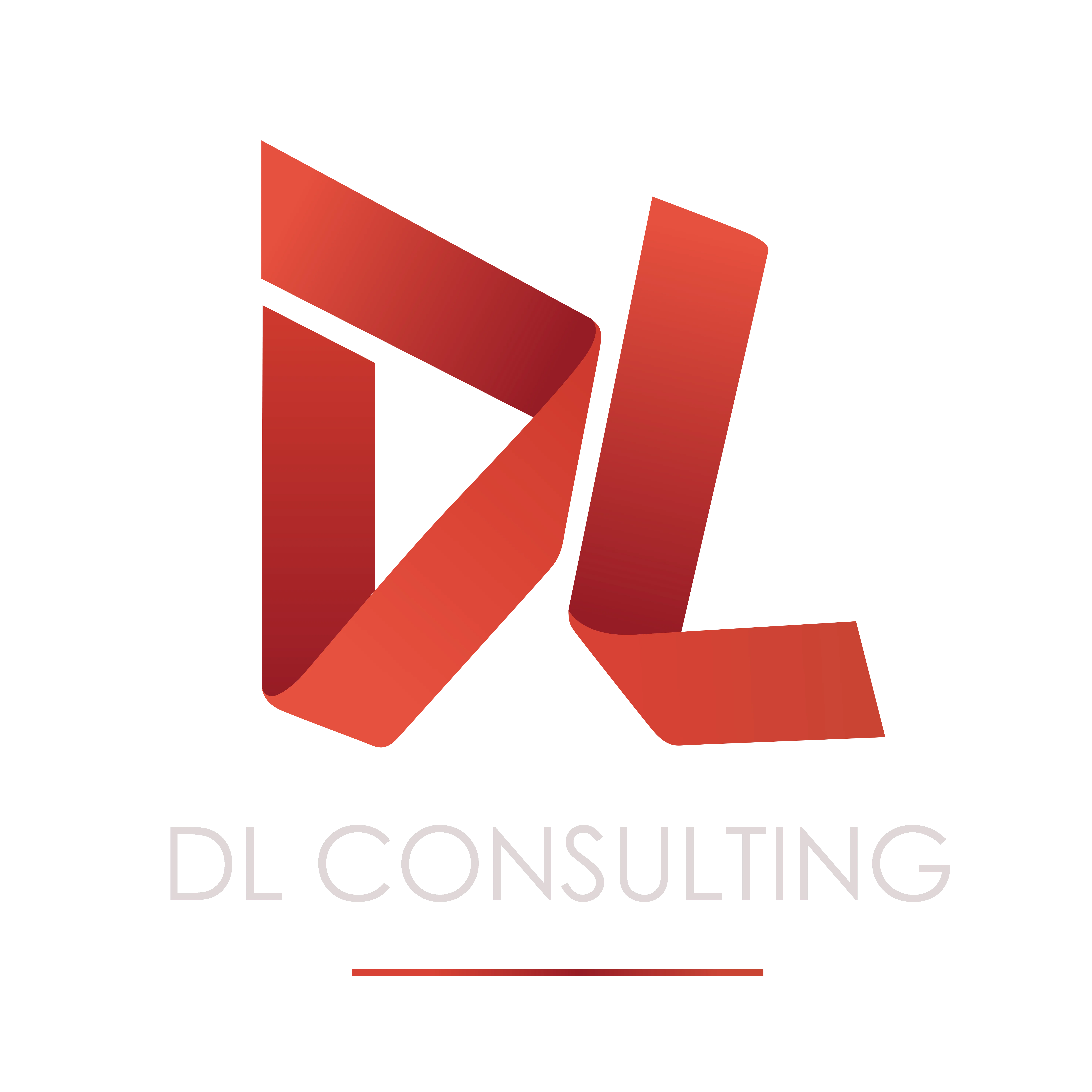D.L CONSULTING