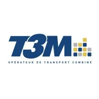 T3M