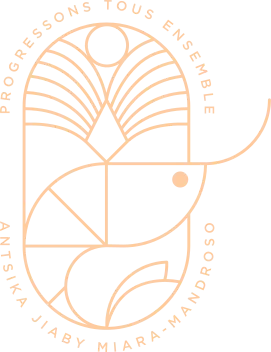 UNIMA DISTRIBUTION
