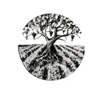 WINES TREE (CYPRES VIN, CLEFS PAPE CLOS PRIEURE)