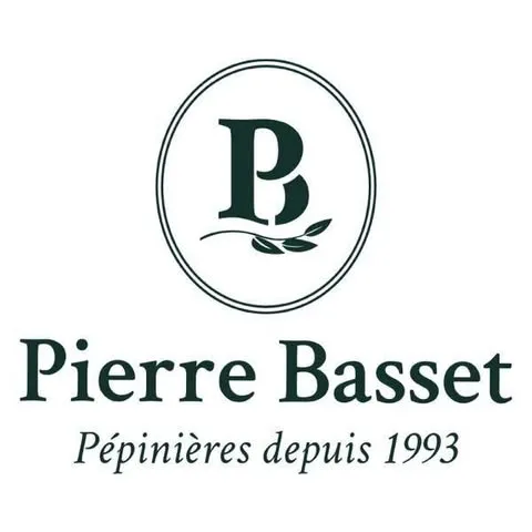 BASSET PIERRE DISTRIBUTION
