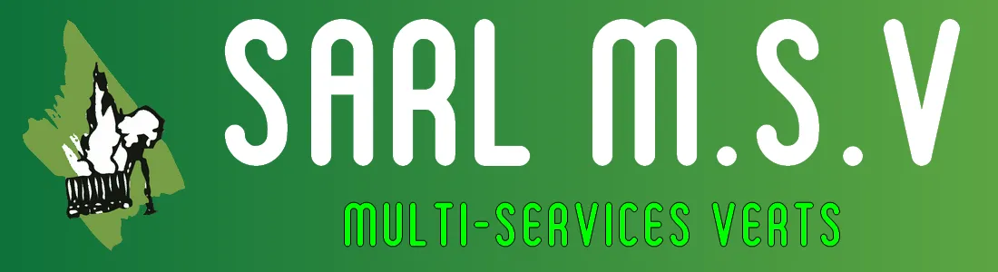 MULTI SERVICES VERTS