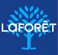 ALLSIMMO (La Forêt)
