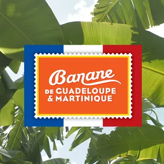 UNION DES PRODUCTEURS DE BANANE DE LA MARTINIQUE