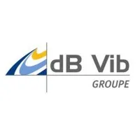 DB VIB INSTRUMENTATION
