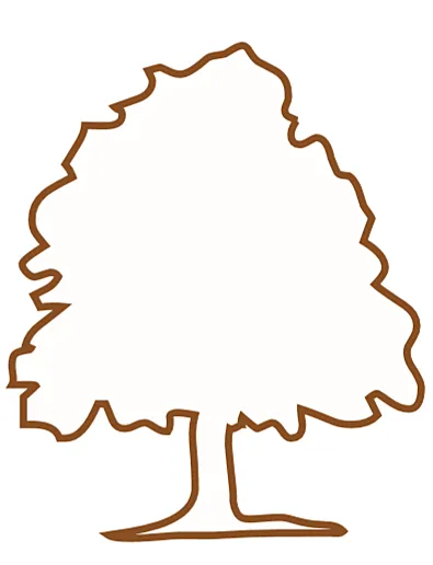 CABINET DENTAIRE DU PARC