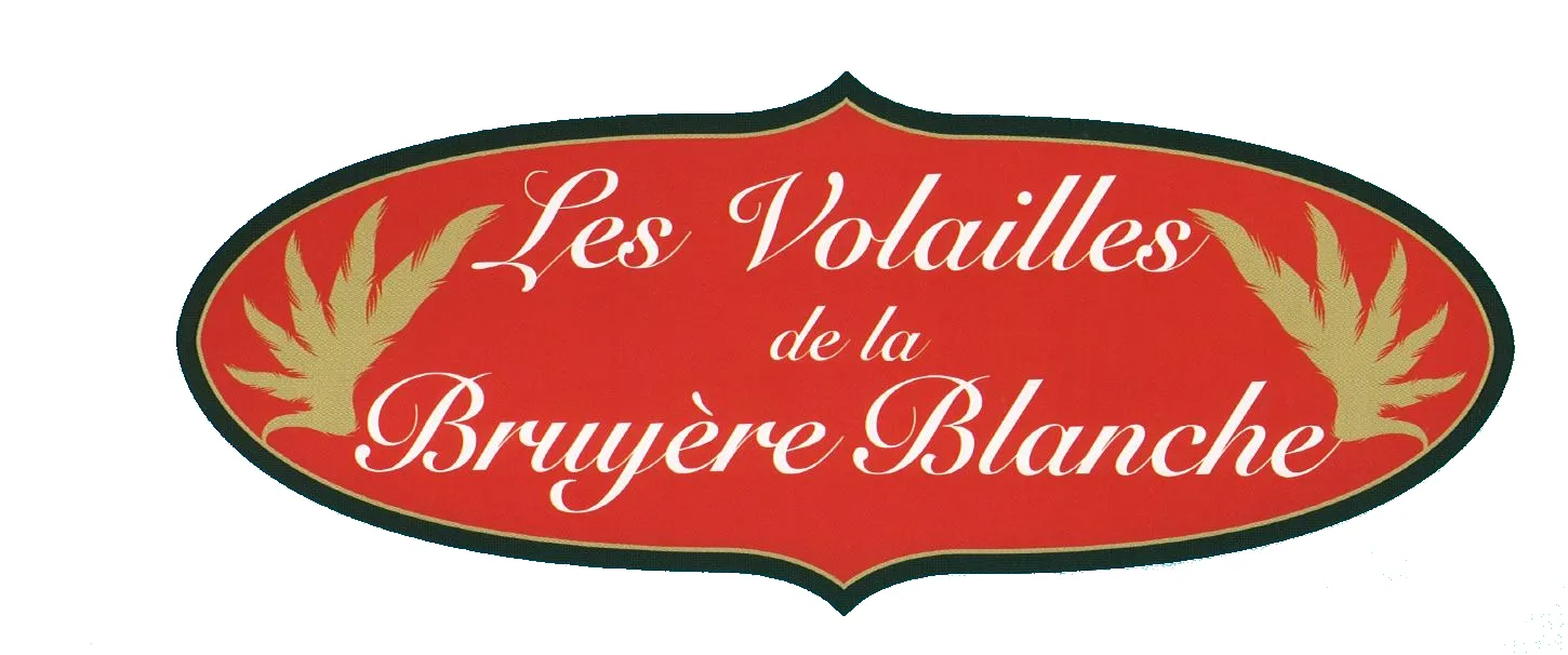 DE LA BRUYERE BLANCHE
