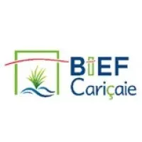 CARICAIE
