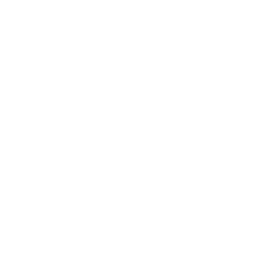 RODELBRICE