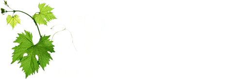 SAS LE RAY-GAL