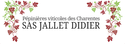 JALLET DIDIER