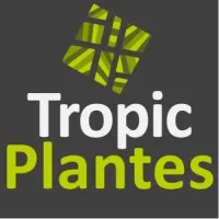 TROPIC PLANTES