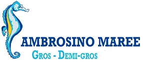 AMBROSINO MAREE