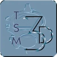 TSM3D