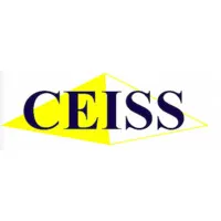 CONSEILS ETUDE INSTALL SYSTEMES SECURITE