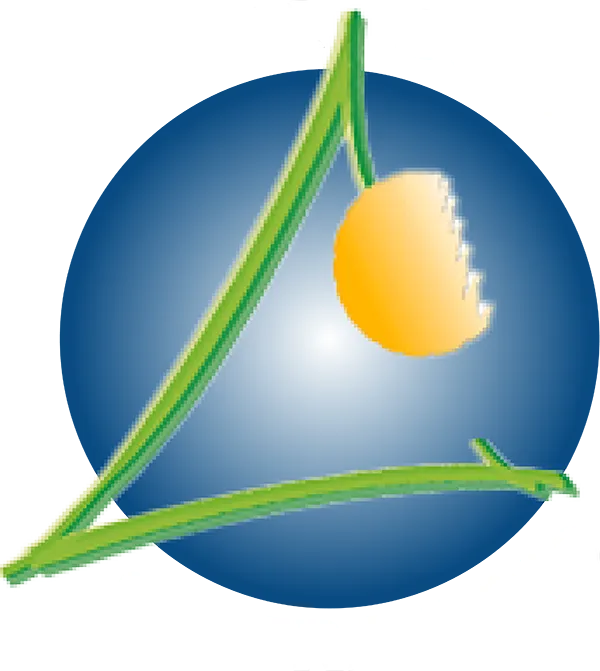 AVENIR BOIS SOCIETE NOUVELLE