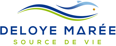 SAINT ANDRE (poissonnerie deloye)