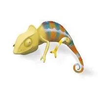 CAMELEON COMMUNICATION (URBAN TV)