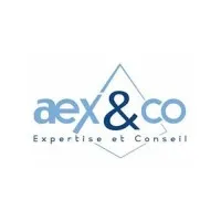 AEX & CO (AUDEXECO.FR AUDEXECO.COM AUDEXPERCO.FR)