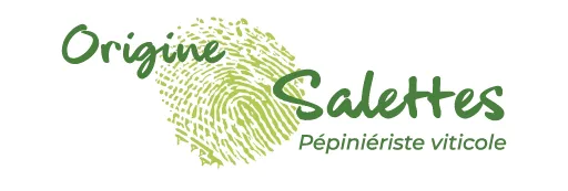 PEPINIERES VITICOLES SALETTES