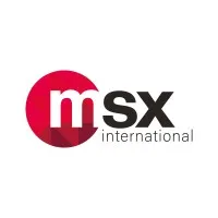 MSX INTERNATIONAL BUSINESS SERVICES FRANCE