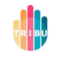IMMOBILIERE DU 13 (tribu immo)