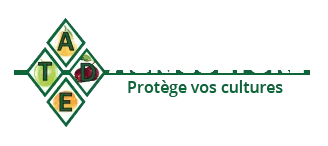 ASSISTANCE EN TRAVAUX DIVERS EXTERIEURS (ATDE)