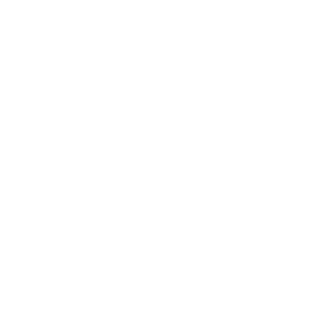 SARL SEIZEUR