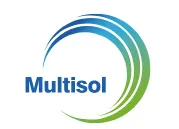 MULTISOL INTERNATIONAL SERVICES