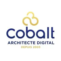 COBALT INFORMATIQUE & MULTIMEDIA