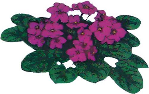 EARL PLANTES ET FLEURS TOURBEZ