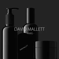 DAVID MALLETT