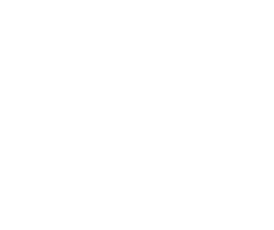 MISSION INFORMATIQUE (MI)