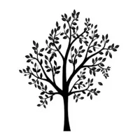 PARIS VENDOME PATRIMOINE