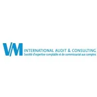 VM INTERNATIONAL AUDIT & CONSULTING