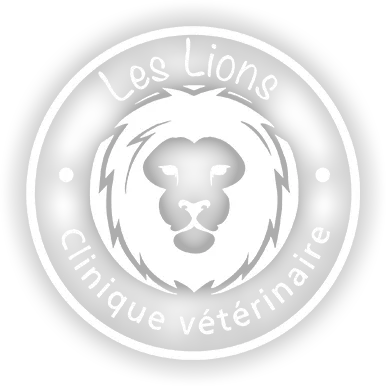 SELARL LES LIONS