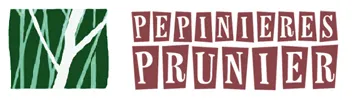 SARL PEPINIERES PRUNIER (VOIR OBSERVATIONS)
