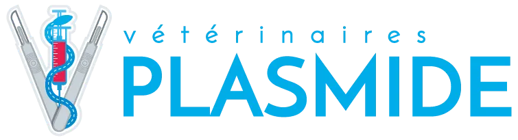 PLASMIDE