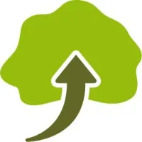 TREE TOP CONSTRUCTION (AMAZONE ADVENTURE)