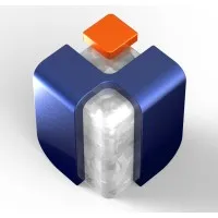 MAXILOR