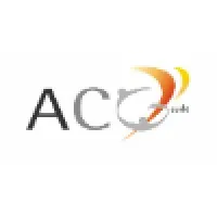 A.C.G. AUDIT (ACG AUDIT)