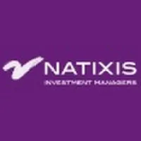 NATIXIS INVESTMENT MANAGERS (NGAM)