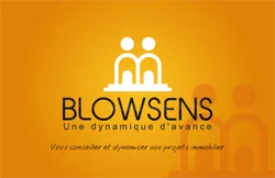 VILREAL IMMOBILIER (Blowsens)